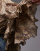 Thumbnail 4 van 4