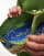Thumbnail 2 van 4
