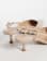 Vignette 4 de 4