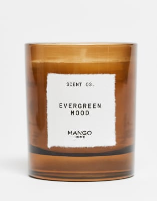 Mango Evergreen Mood Aromatic Candle 200g-no Color