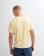 Thumbnail 9 von 10