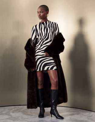 Zebra 2