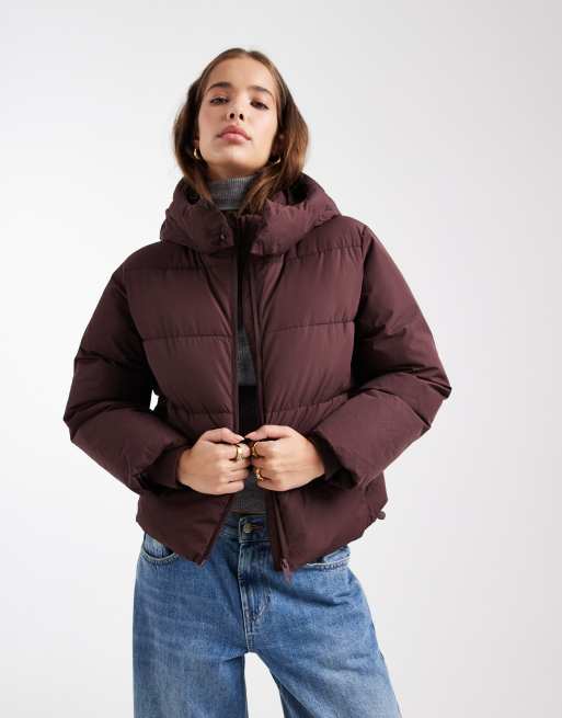 Mango Teen puffer coat in fig , 2 of 4