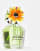 Thumbnail 4 of 4