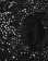 Thumbnail 5 of 5