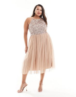 Maya Plus Bridesmaid halter neck midi tulle dress with sequins in muted blush - ASOS Price Checker
