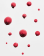 Anteprima 4 di 4