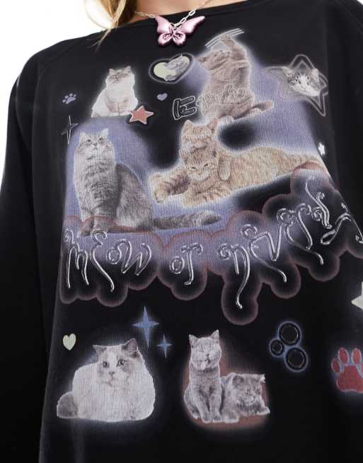 Cat store in sweatshirt