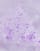 Thumbnail 4 van 4