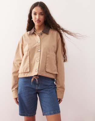 Miss Selfridge Canvas Jacket-brown