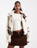 [Miss Selfridge] Miss Selfridge faux fur collar bomber jacket in cow print-Multi 18 Cow print