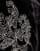 Thumbnail 3 van 5