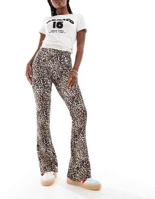 Miss Selfridge - Leggings a zampa a vita bassa con stampa leopardata e fascia ampia in vita