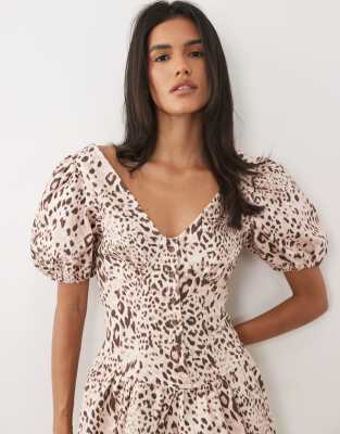 Zebra Print 3