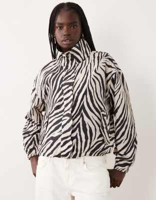 Zebra Print 4