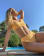 Thumbnail 4 of 4