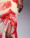 Thumbnail 5 of 5