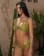 Vignette 4 de 5