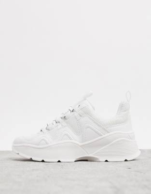 basket monki