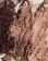 Anteprima 4 di 4