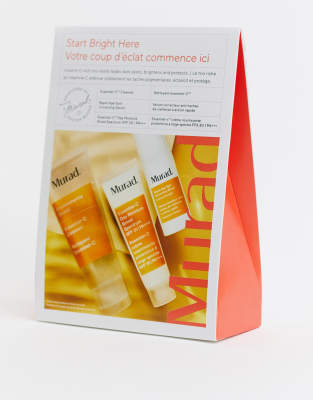 murad travel kit