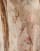 Thumbnail 5 of 5