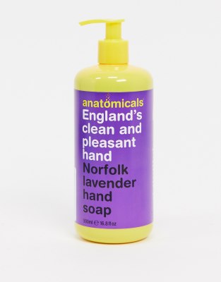 фото Мыло для рук anatomicals clean and pleasant hand, 500 мл-бесцветный