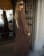 Vignette 1 de 5