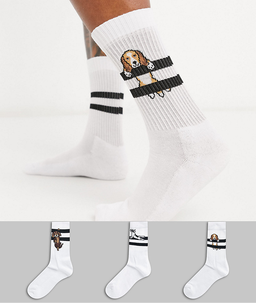 фото Набор из 3 пар спортивных носков (с принтом собак/полосками) asos design-белый