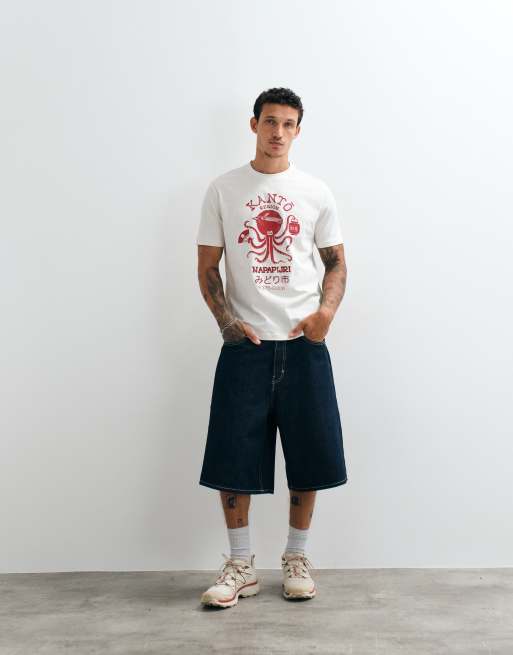 Napapijri Kanto t-shirt in white, 2 of 5