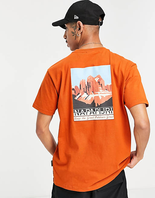 Men Napapijri Latemar Canyon back print t-shirt in burnt orange 