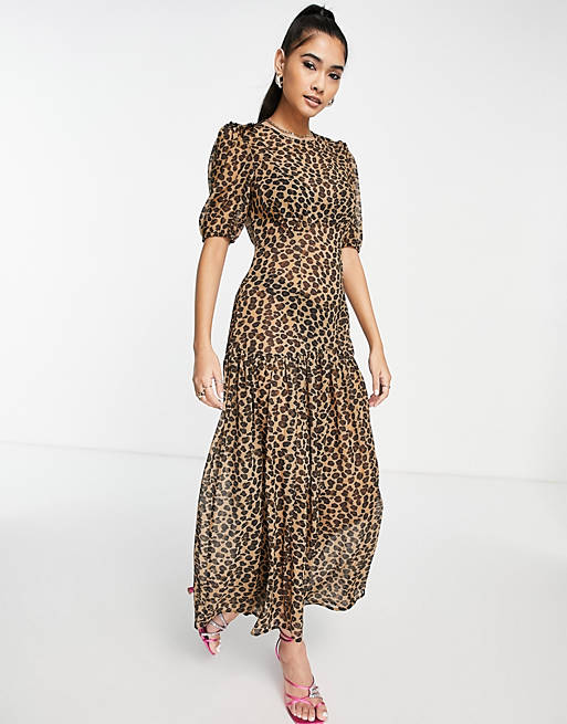 Never Fully Dressed Lucia sheer midaxi dress in leopard print