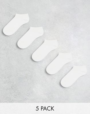 New Look 5 pack trainer sock in white