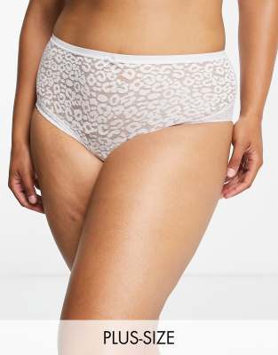 New Look Curve animal lace Brazilian panty in white