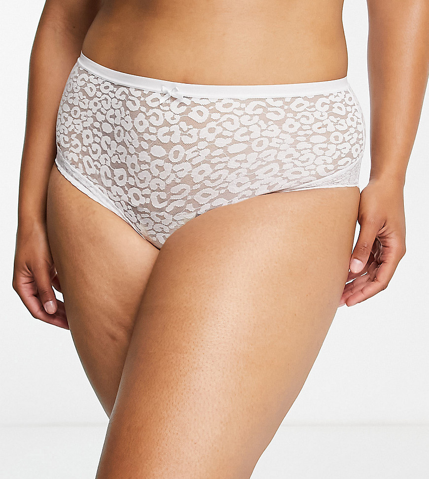 New Look Plus New Look Curve Animal Lace Brazilian Panty In White
