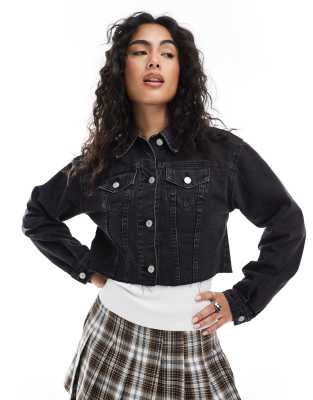 New Look - Kurze Jeansjacke in Schwarz