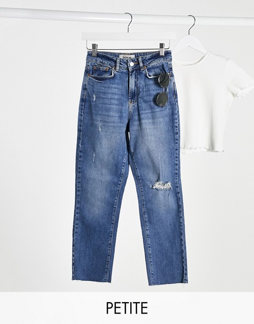 New Look Petite distressed straight leg jeans in mid blue
