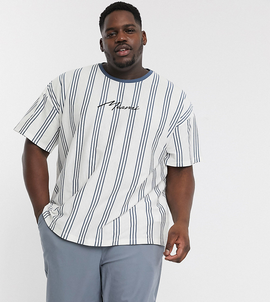 New Look Plus - Miami - Gestreept T-shirt met borduursel in wit