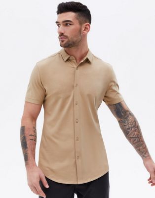 New Look short sleeve muscle fit jersey shirt in stone