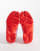 Thumbnail 5 of 5