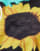 Thumbnail 2 von 4