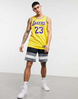 Nike Basketball NBA LA Lakers Lebron 
