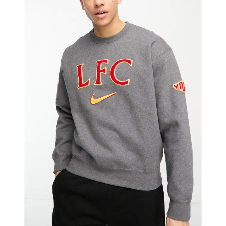 Liverpool nike best sale grey hoodie