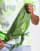 Thumbnail 2 van 4