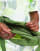 Thumbnail 4 van 4