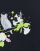 Thumbnail 4 of 4