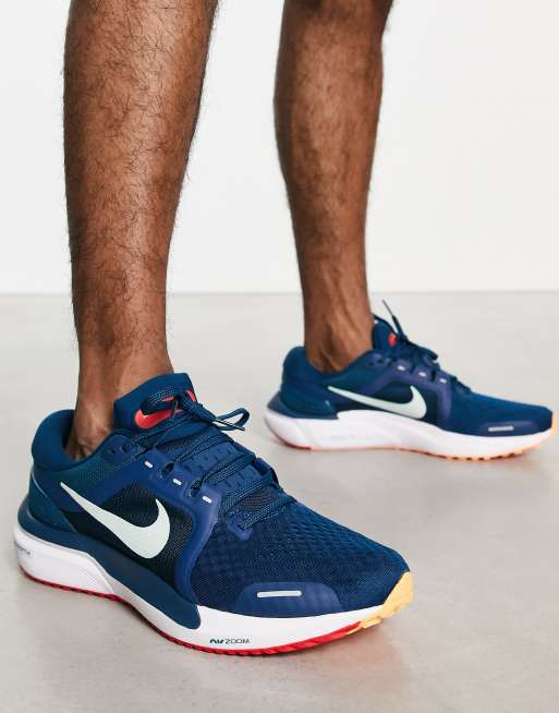 Nike air sale zoom vomero blue