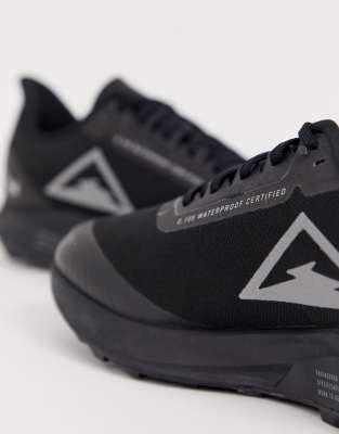 nike pegasus gore tex
