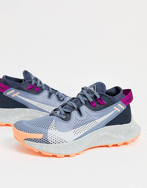 Nike Running Pegasus Trail 2 trainers in grey