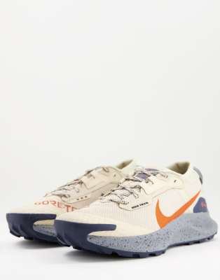 Nike Running Pegasus Trail 3 GORE-TEX trainers in stone | ASOS